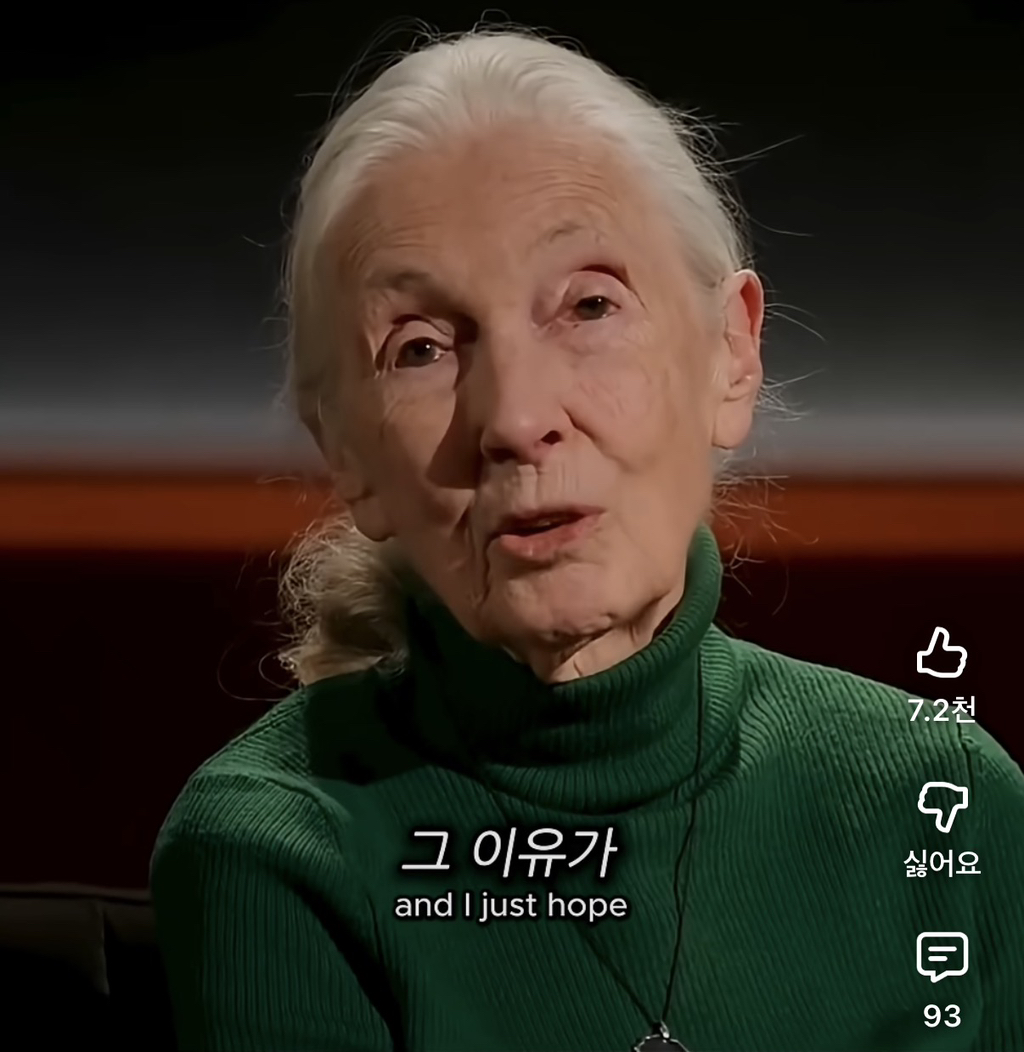 당신의-삶은-여전히-소중하다-8-이미지