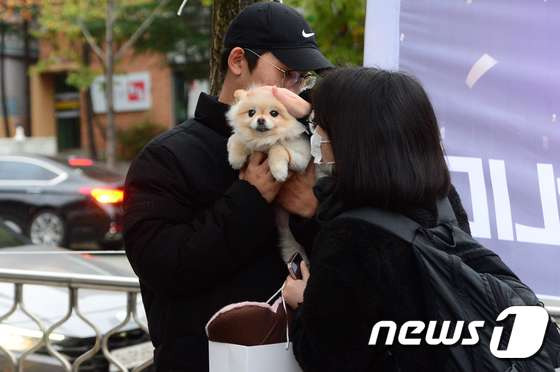 강아지-좋아하는-왕들은-매년-수능-아침을-기대함-3-이미지