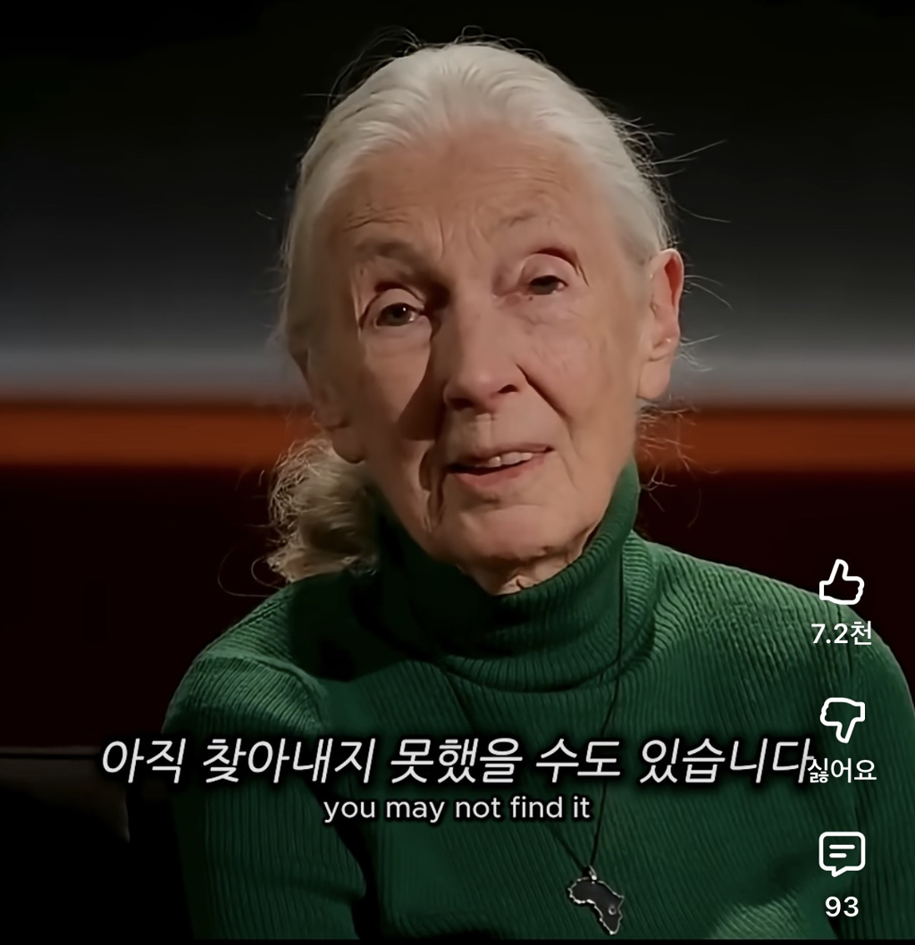 당신의-삶은-여전히-소중하다-5-이미지