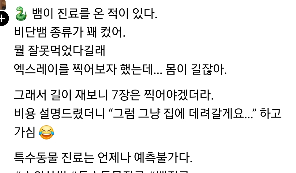수의사인데-애완뱀을-데려오셨더라고-0-이미지