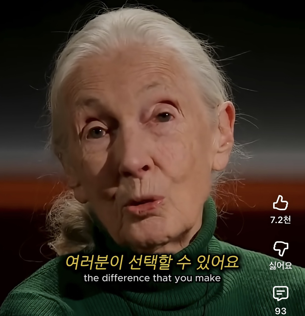 당신의-삶은-여전히-소중하다-17-이미지