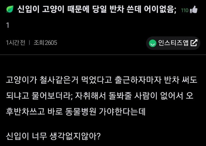 신입이-고양이-때문에-당일-반차-쓴데-어이없음;-0-이미지