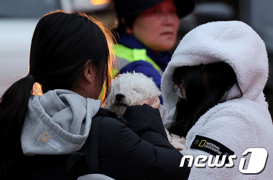 강아지-좋아하는-왕들은-매년-수능-아침을-기대함-5-이미지