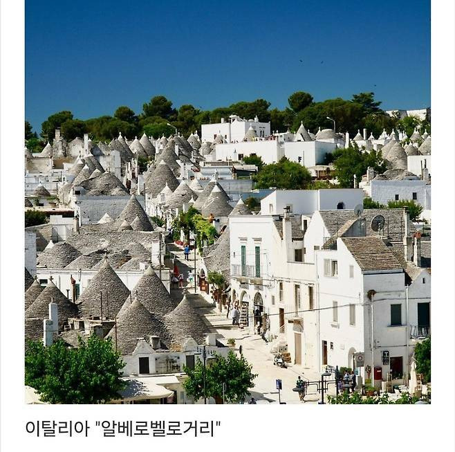 세계에서-제일-예쁜-길이라고-함-9-이미지