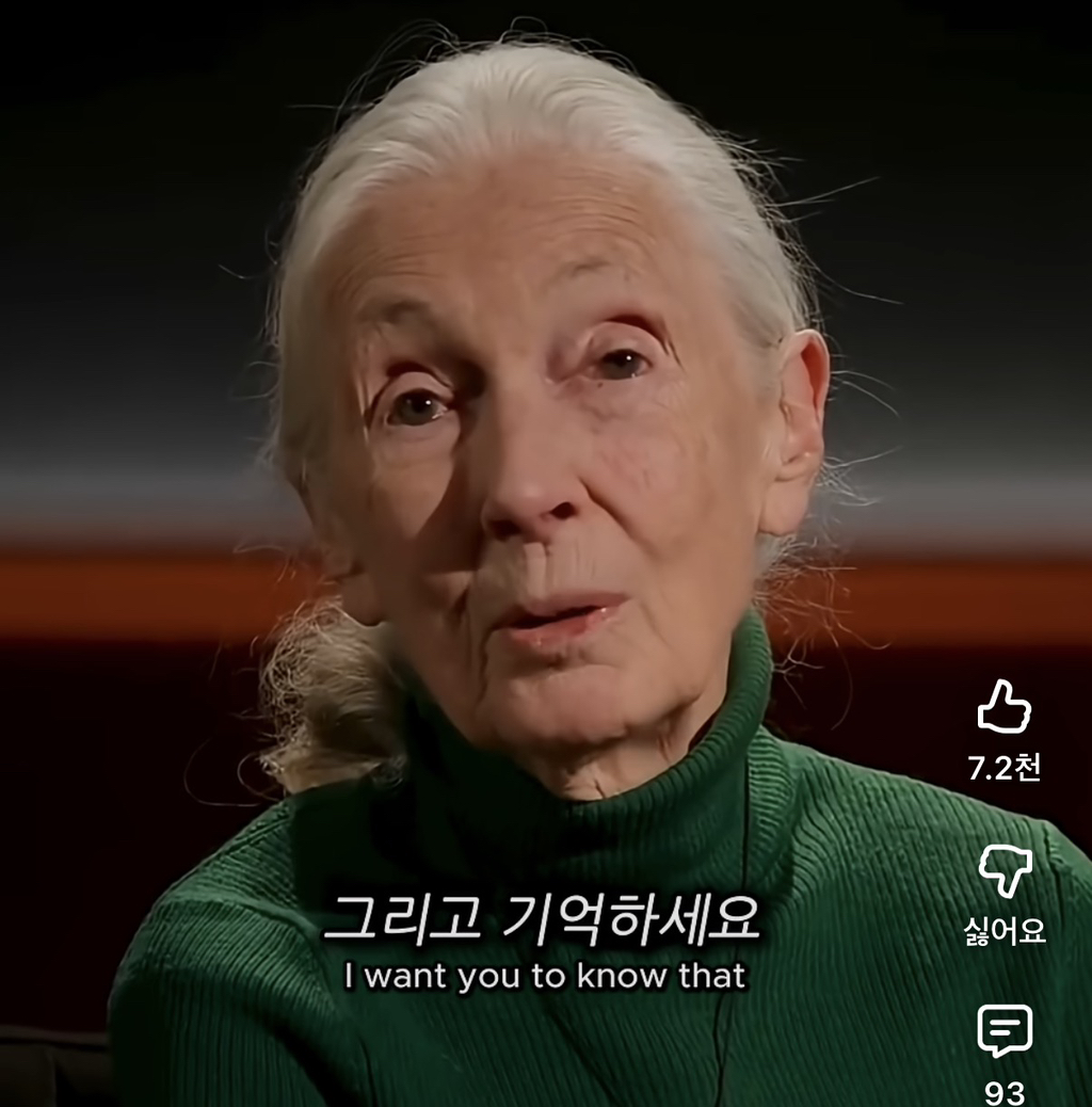 당신의-삶은-여전히-소중하다-11-이미지