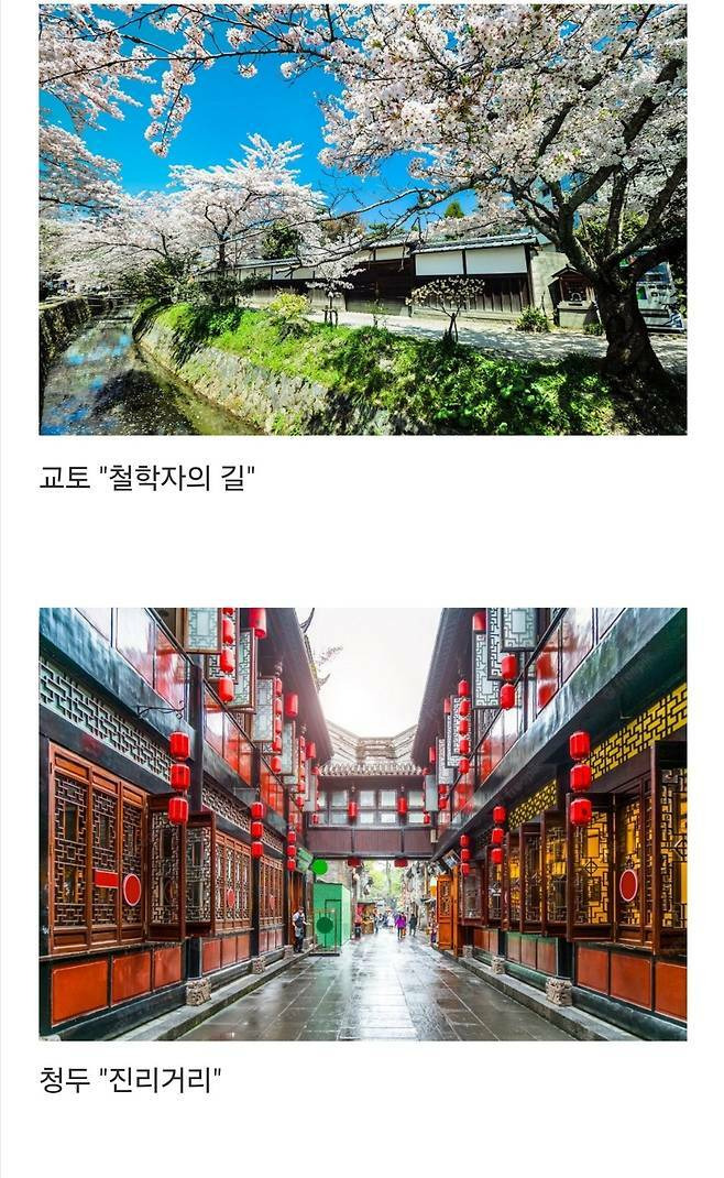 세계에서-제일-예쁜-길이라고-함-1-이미지