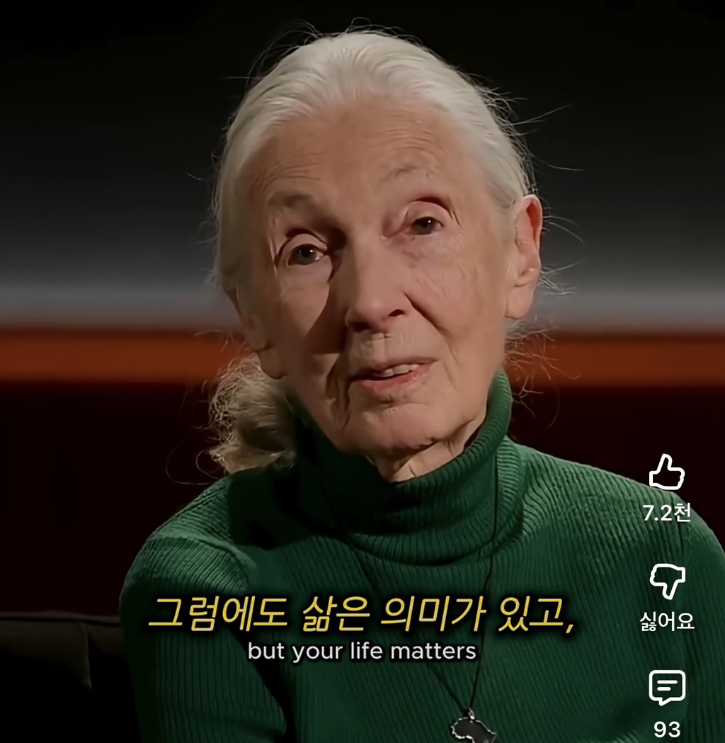 당신의-삶은-여전히-소중하다-6-이미지