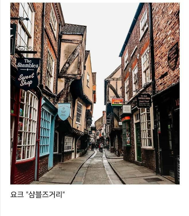 세계에서-제일-예쁜-길이라고-함-15-이미지