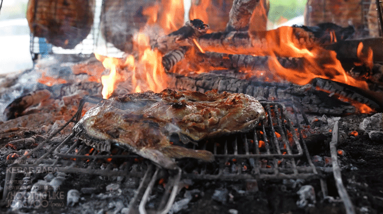 이라크식-생선구이-3-이미지