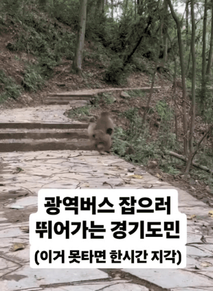 광역버스-잡으러-뛰어가는-경기도민-0-이미지