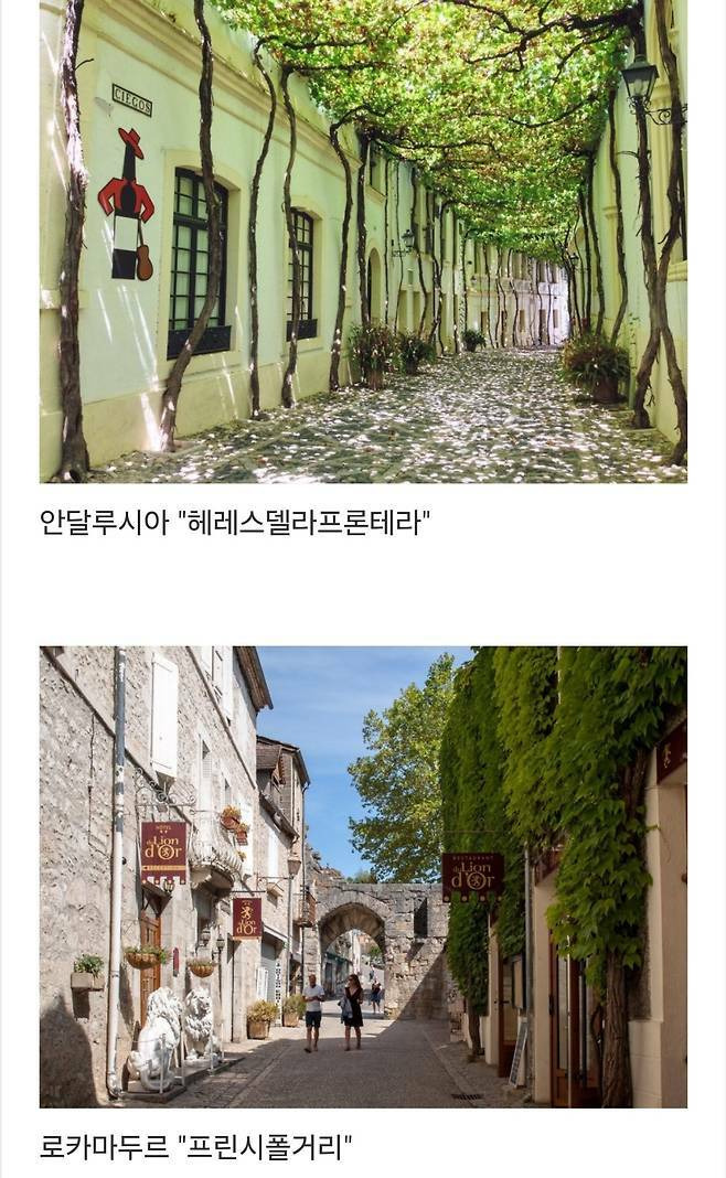 세계에서-제일-예쁜-길이라고-함-5-이미지