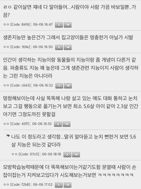 고양이-지능이-2~3세-아이랑-비슷하다는것도-편견이라더라-2-이미지