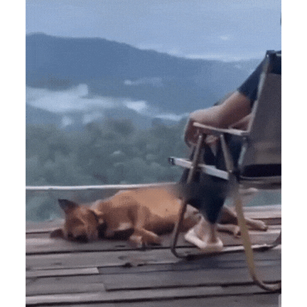 개식겁-0-이미지