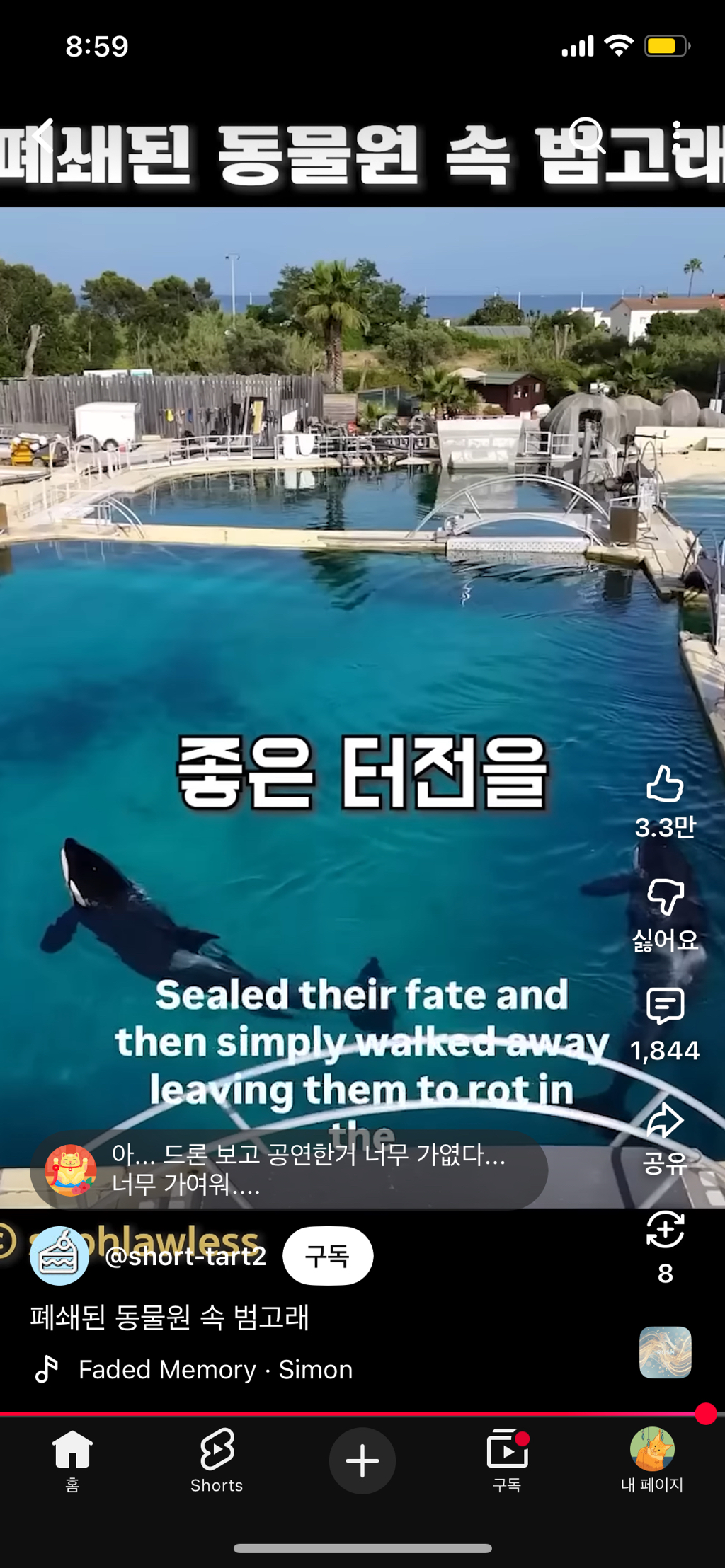 프랑스가-사진작가-고소함-51-이미지