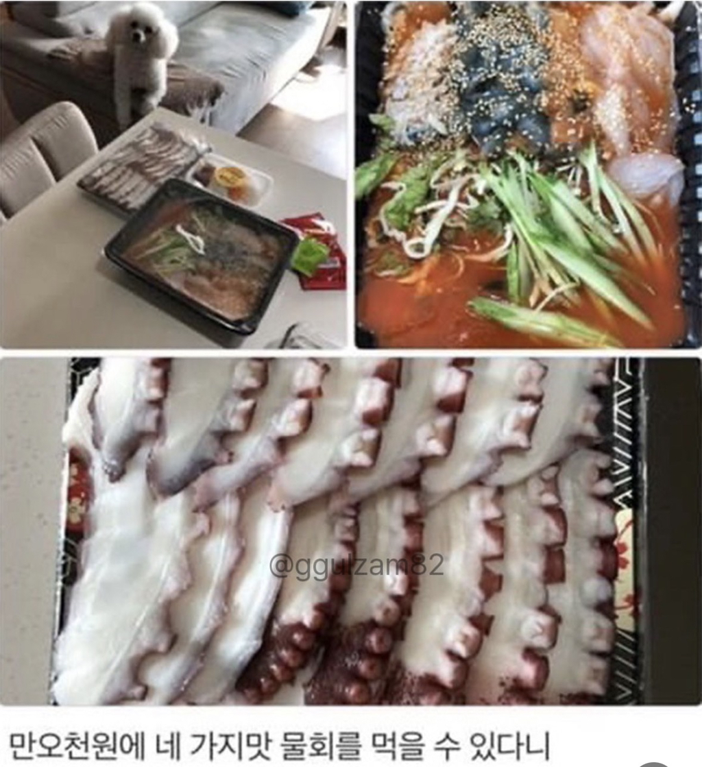 늘-보이던-강아지가-안-보이니-아쉬워하는-사장님.jpg-7-이미지