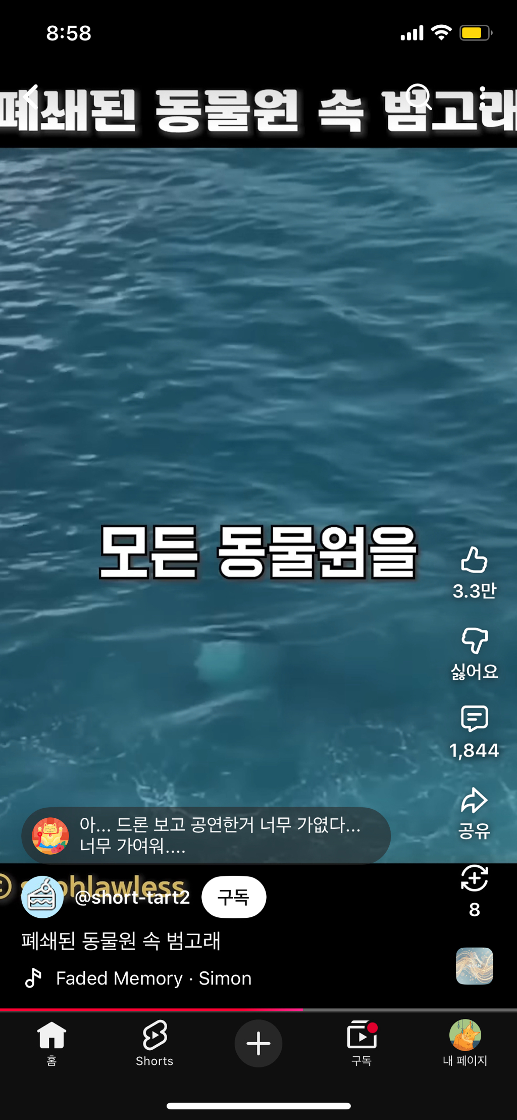 프랑스가-사진작가-고소함-28-이미지