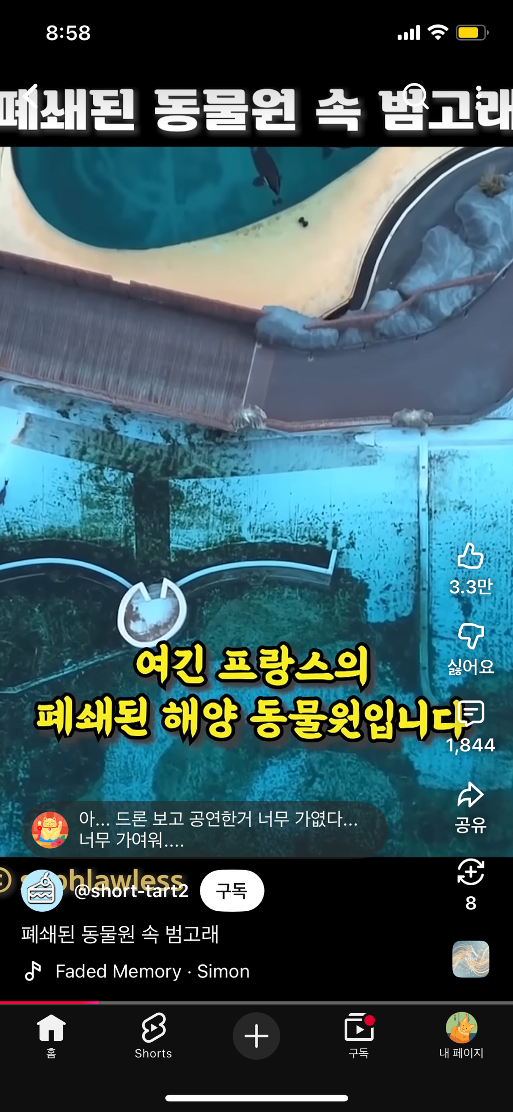 프랑스가-사진작가-고소함-9-이미지