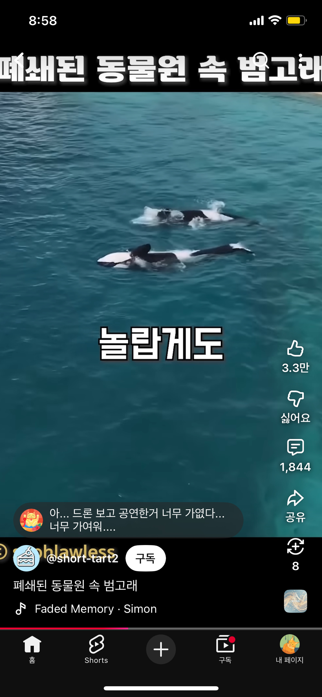 프랑스가-사진작가-고소함-18-이미지