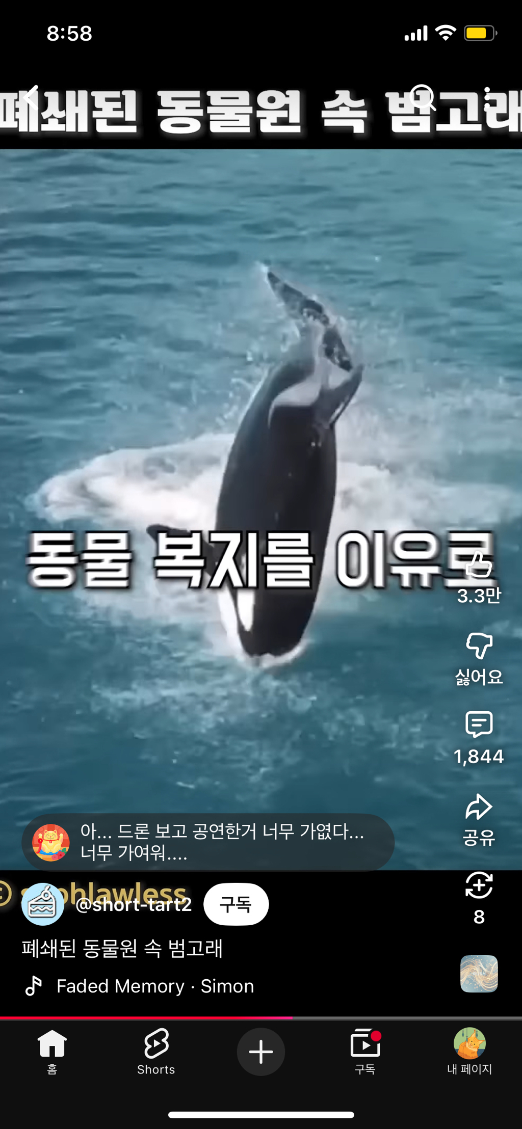 프랑스가-사진작가-고소함-27-이미지