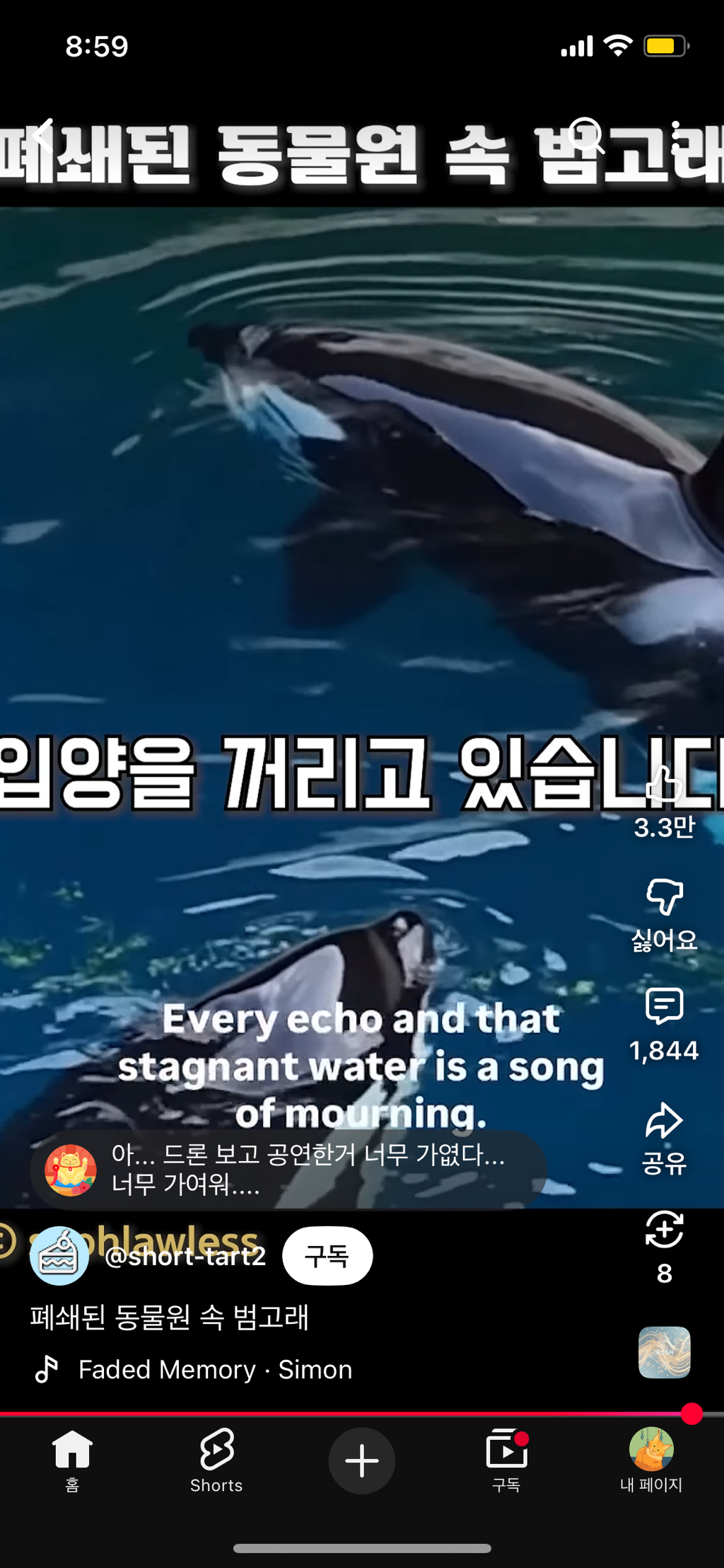 프랑스가-사진작가-고소함-50-이미지