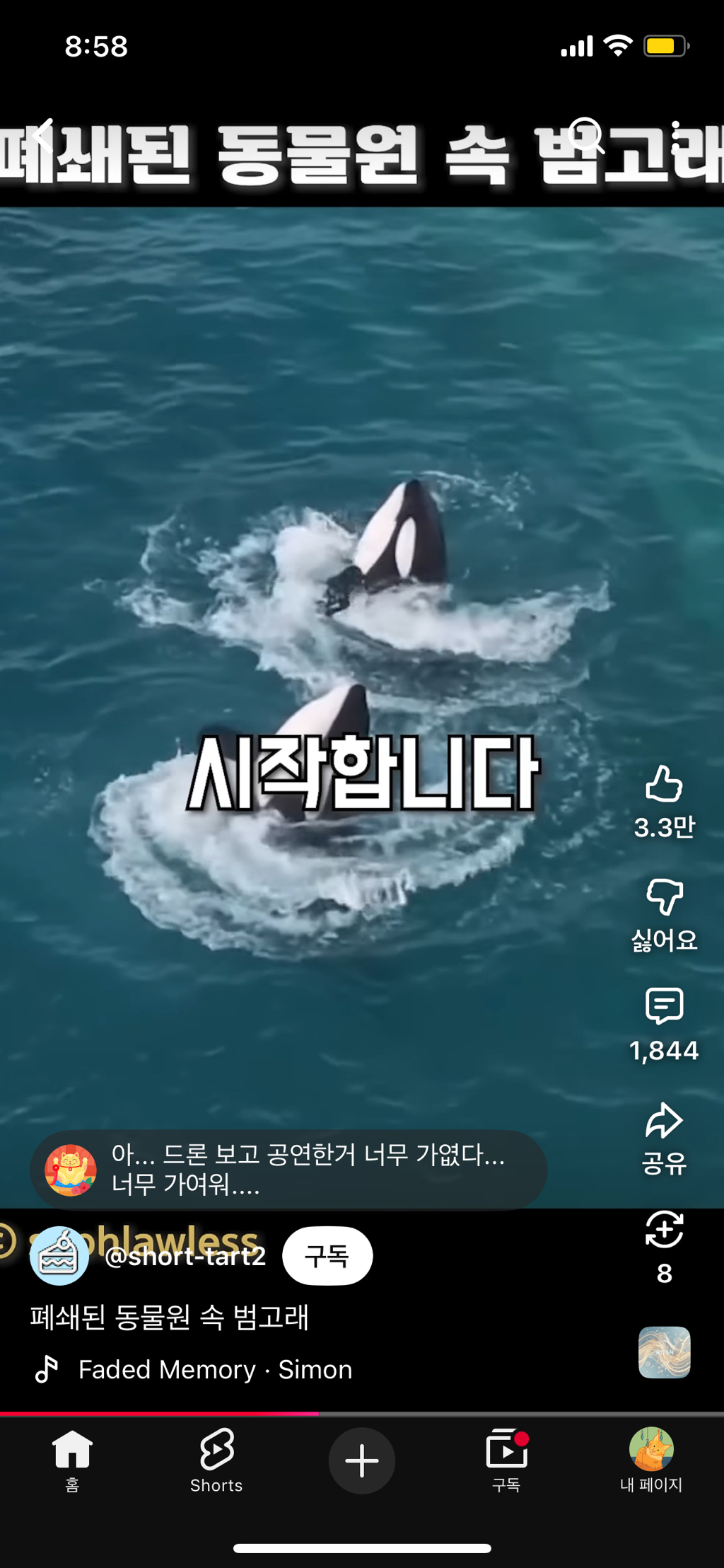 프랑스가-사진작가-고소함-21-이미지