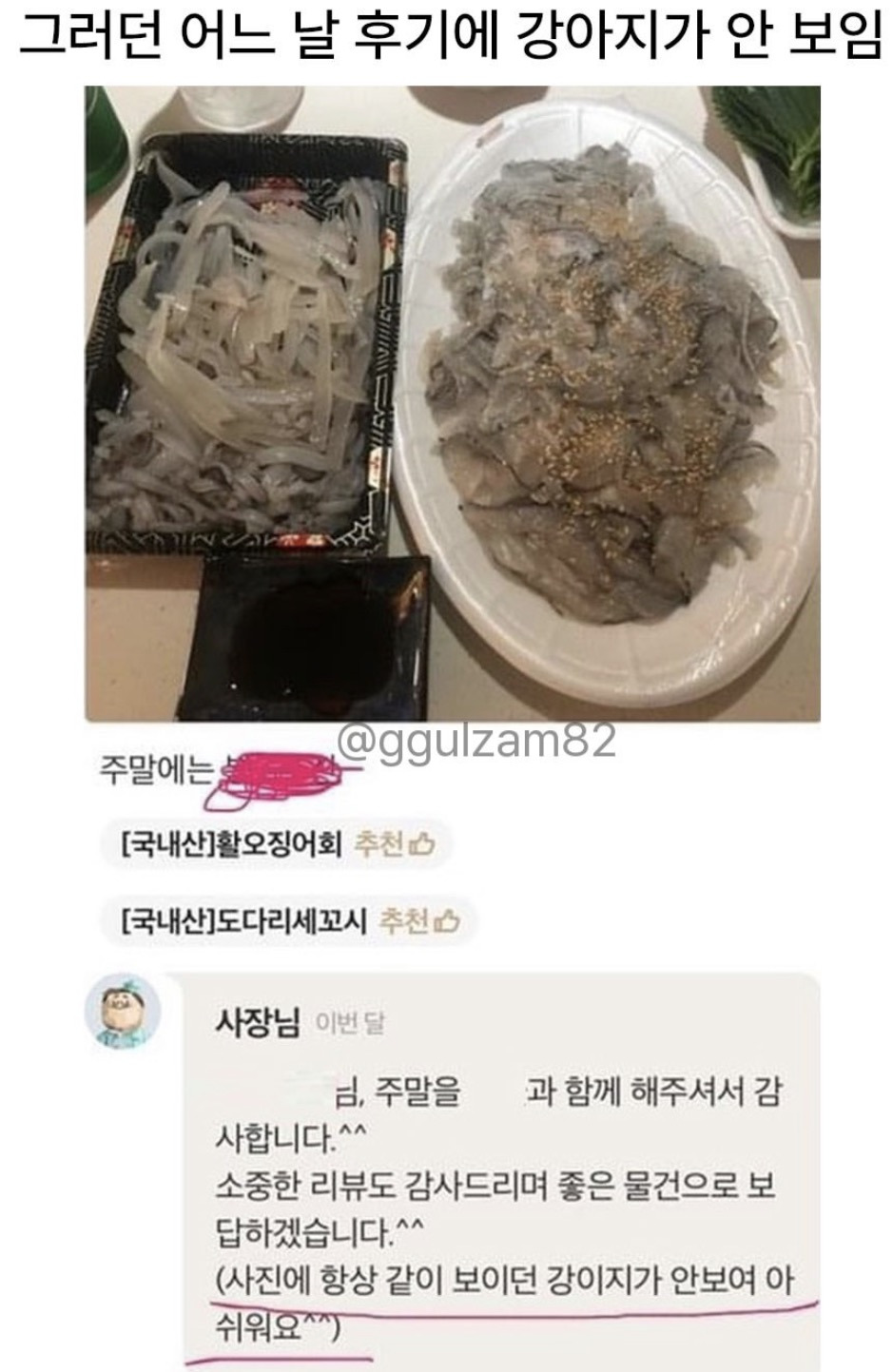 늘-보이던-강아지가-안-보이니-아쉬워하는-사장님.jpg-8-이미지