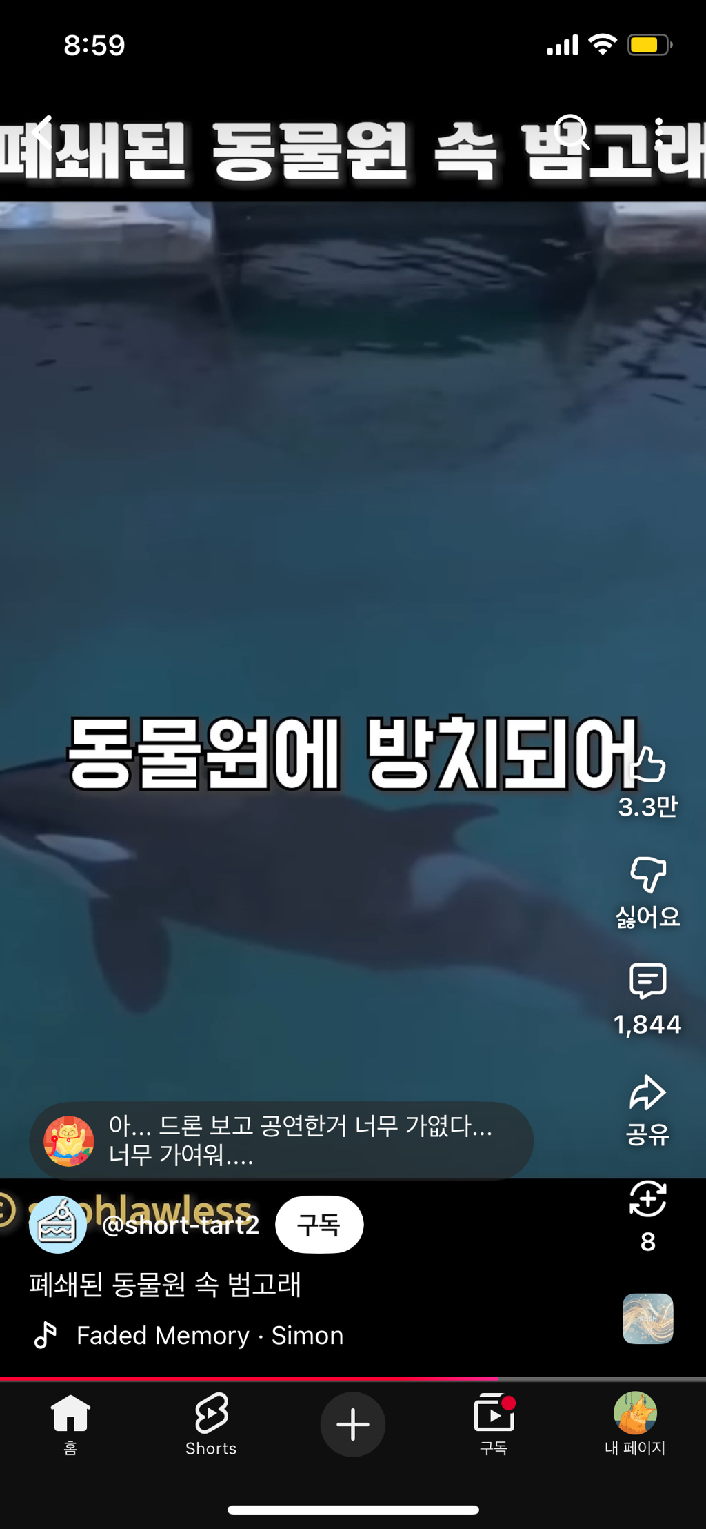 프랑스가-사진작가-고소함-36-이미지