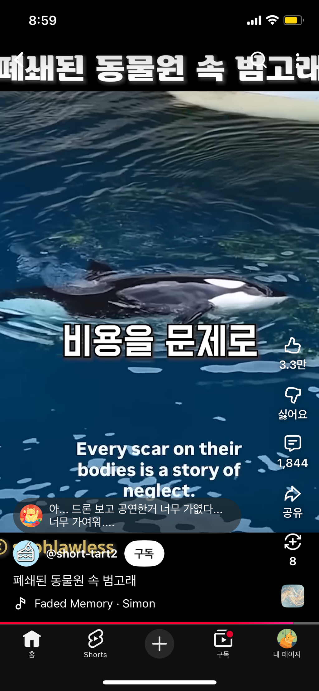 프랑스가-사진작가-고소함-49-이미지