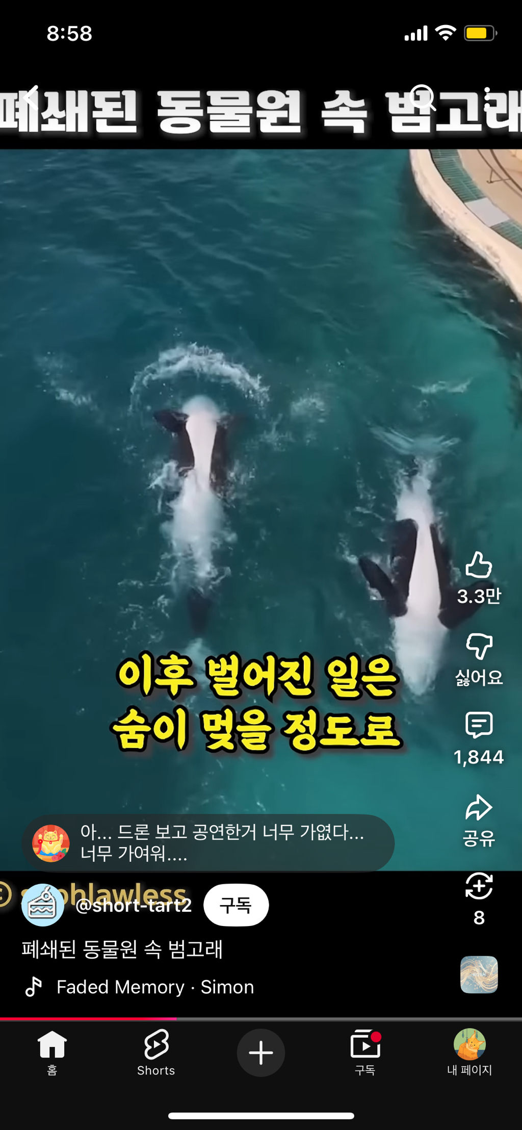 프랑스가-사진작가-고소함-16-이미지