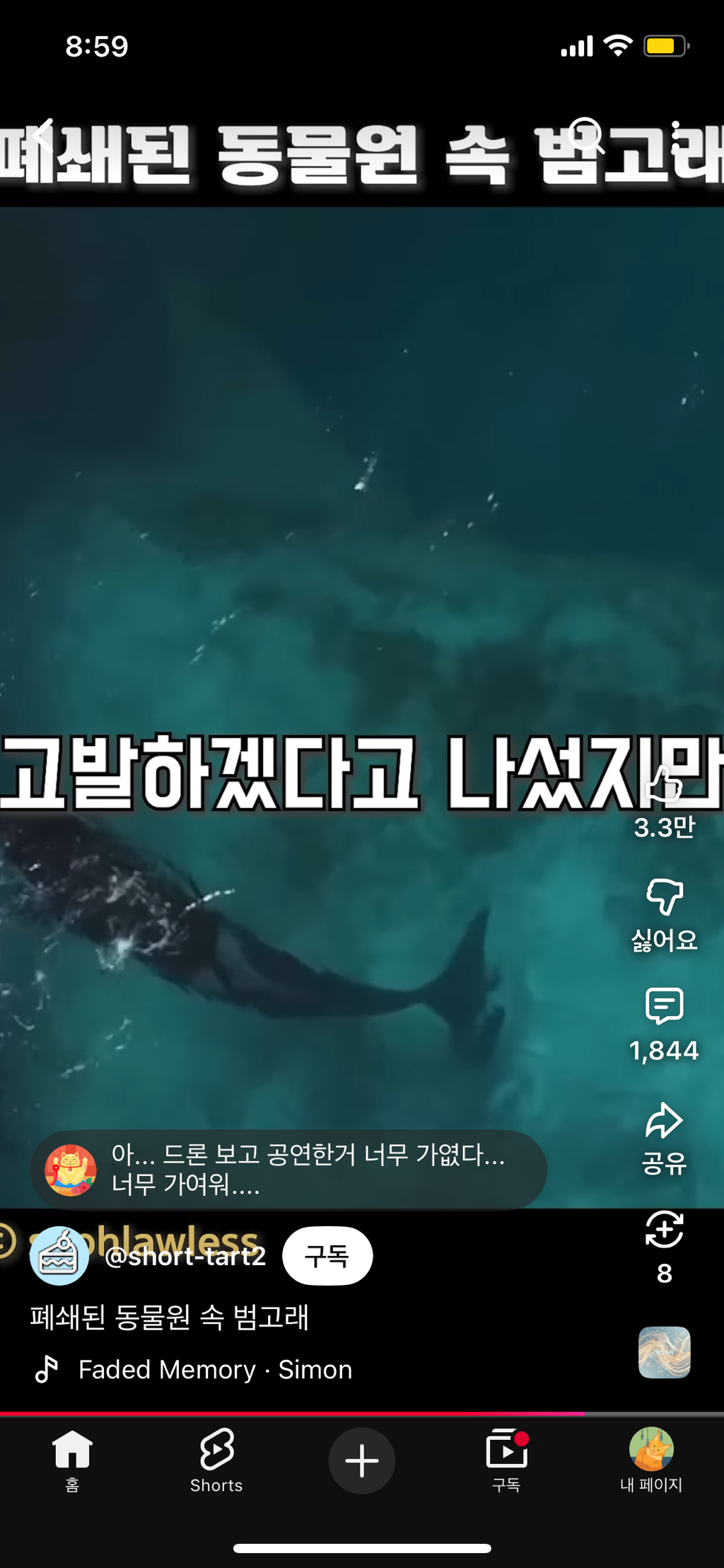 프랑스가-사진작가-고소함-43-이미지