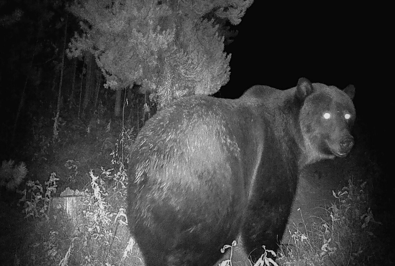 우리-조상들이-어두워지면-밖에-안-나가려고-한-이유.jpg-19-이미지