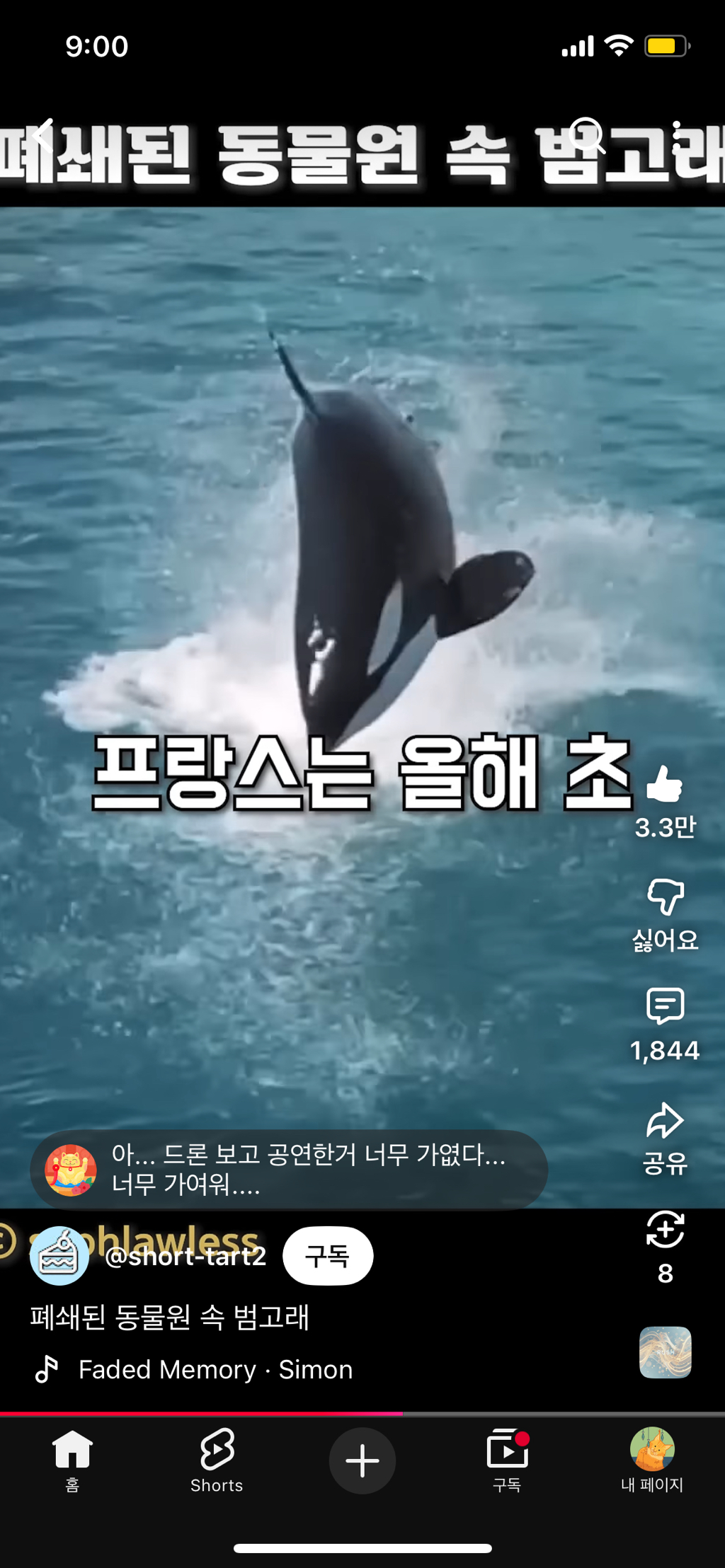 프랑스가-사진작가-고소함-26-이미지