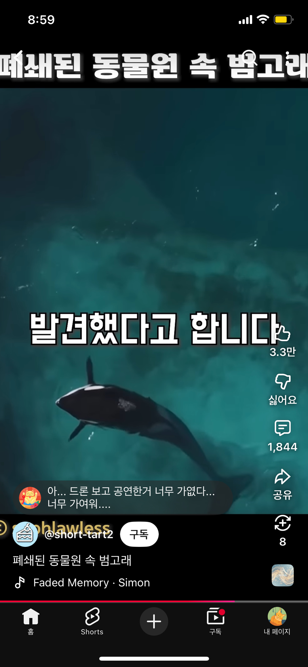 프랑스가-사진작가-고소함-40-이미지