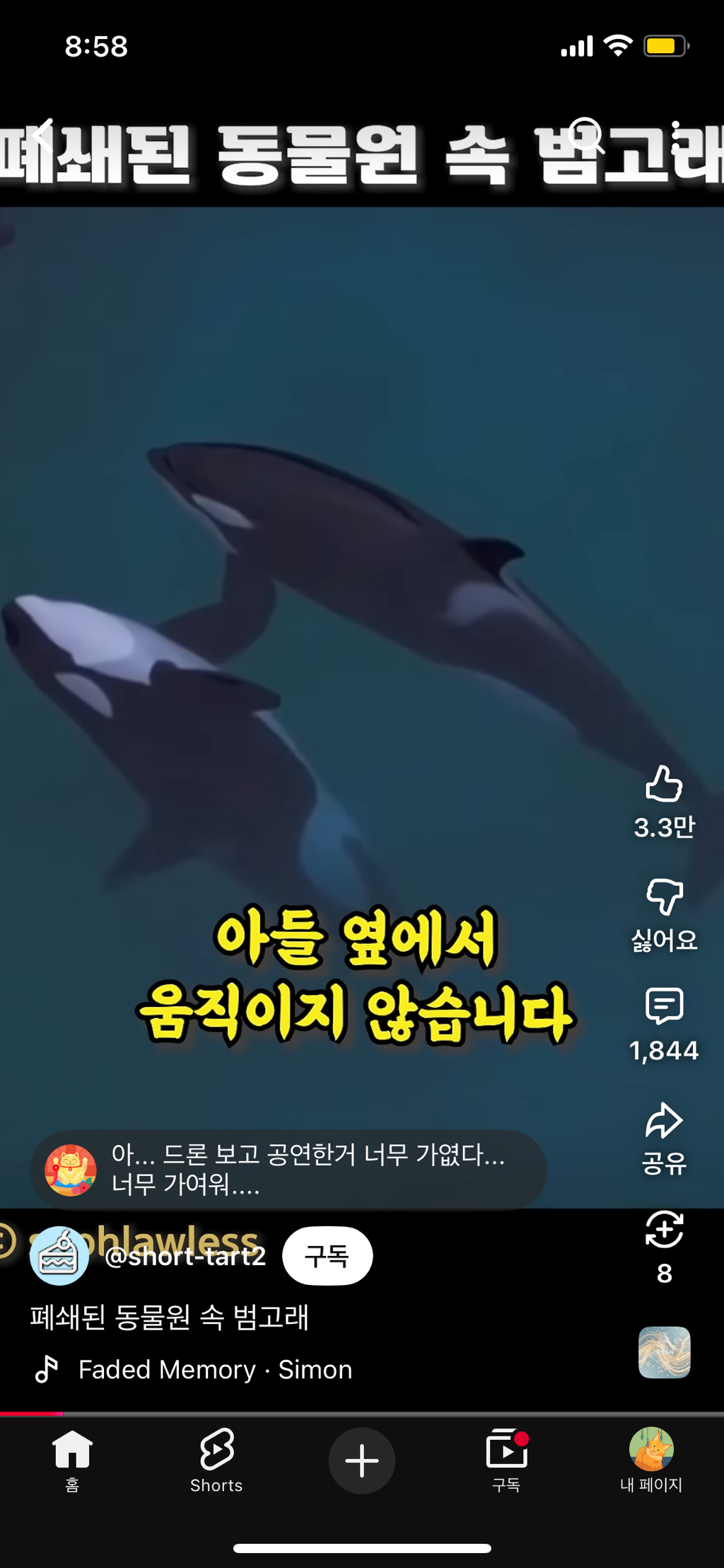 프랑스가-사진작가-고소함-4-이미지