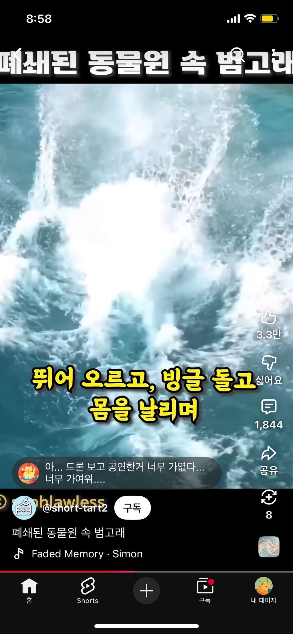 프랑스가-사진작가-고소함-22-이미지