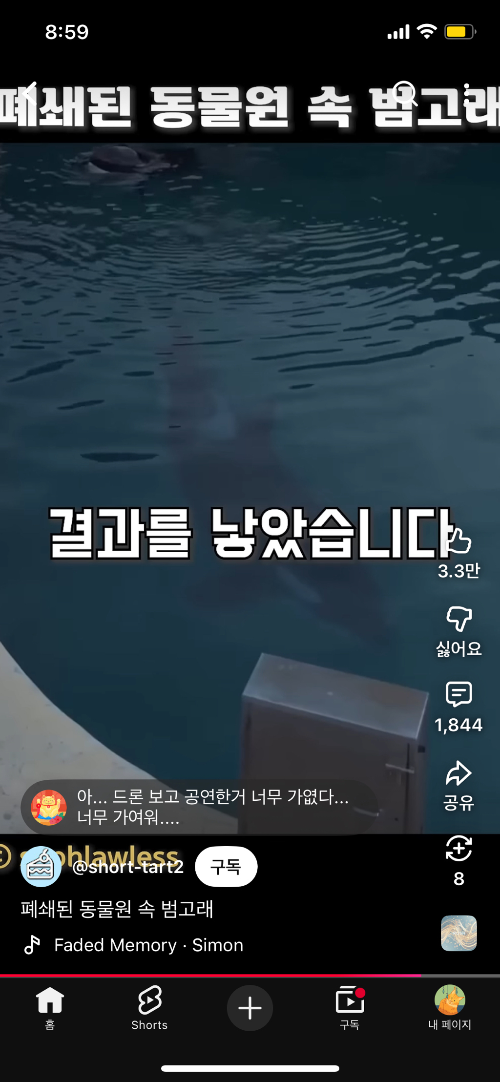 프랑스가-사진작가-고소함-45-이미지