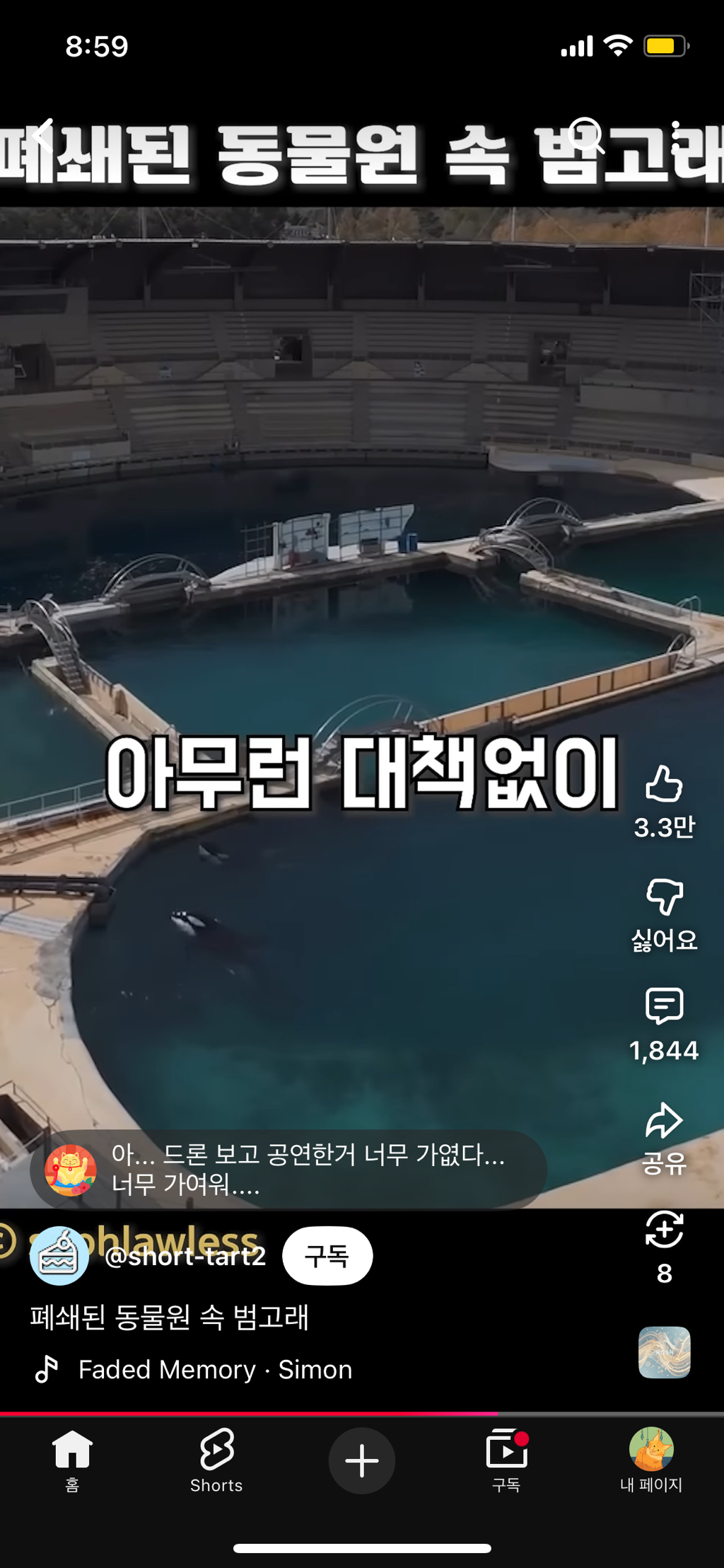 프랑스가-사진작가-고소함-35-이미지