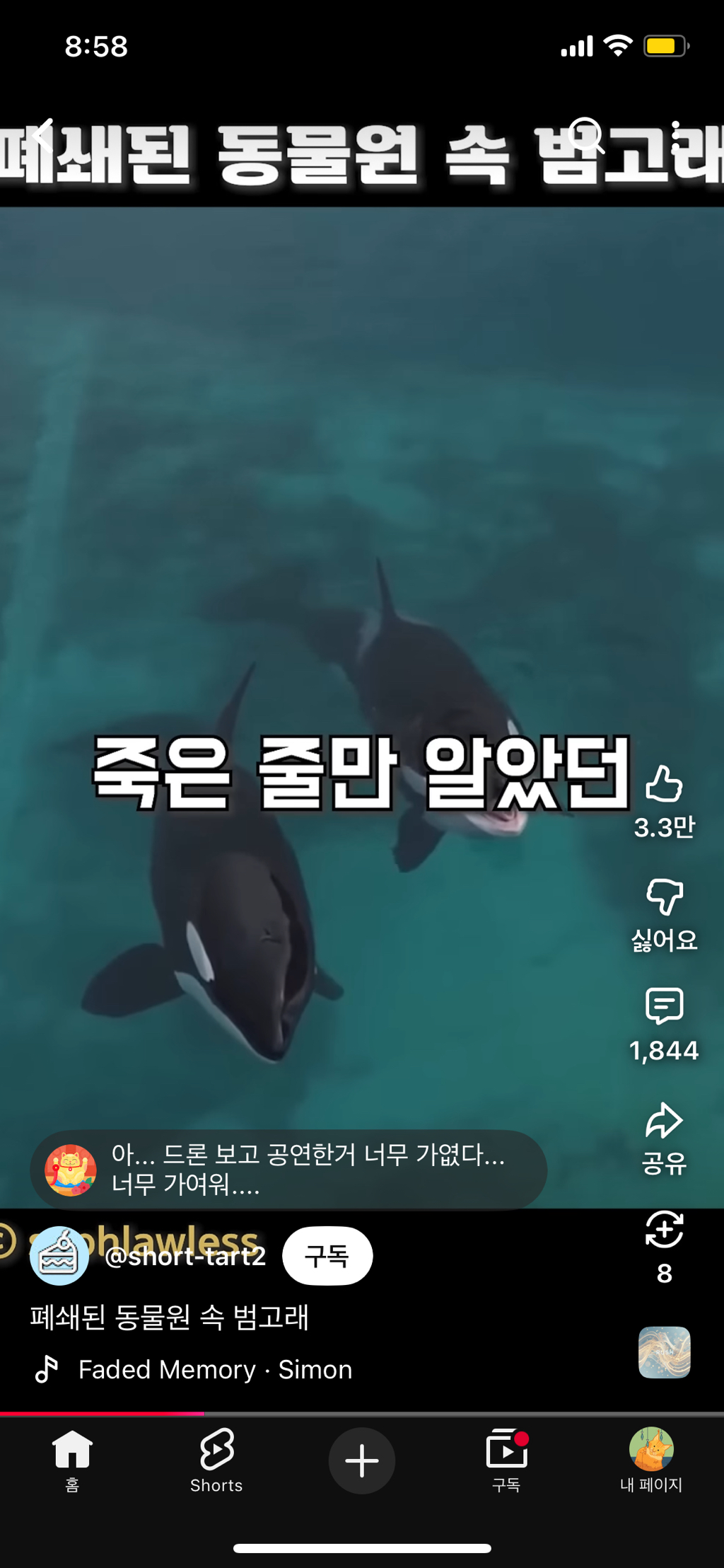 프랑스가-사진작가-고소함-12-이미지