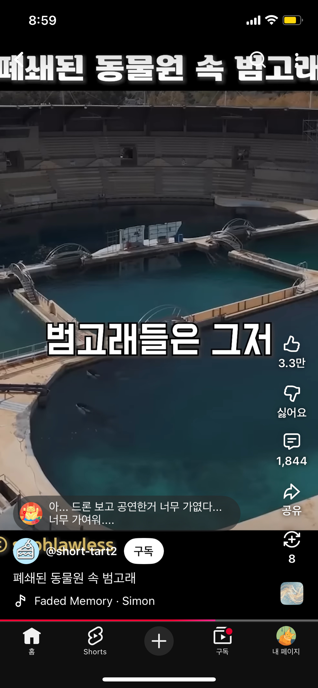 프랑스가-사진작가-고소함-34-이미지