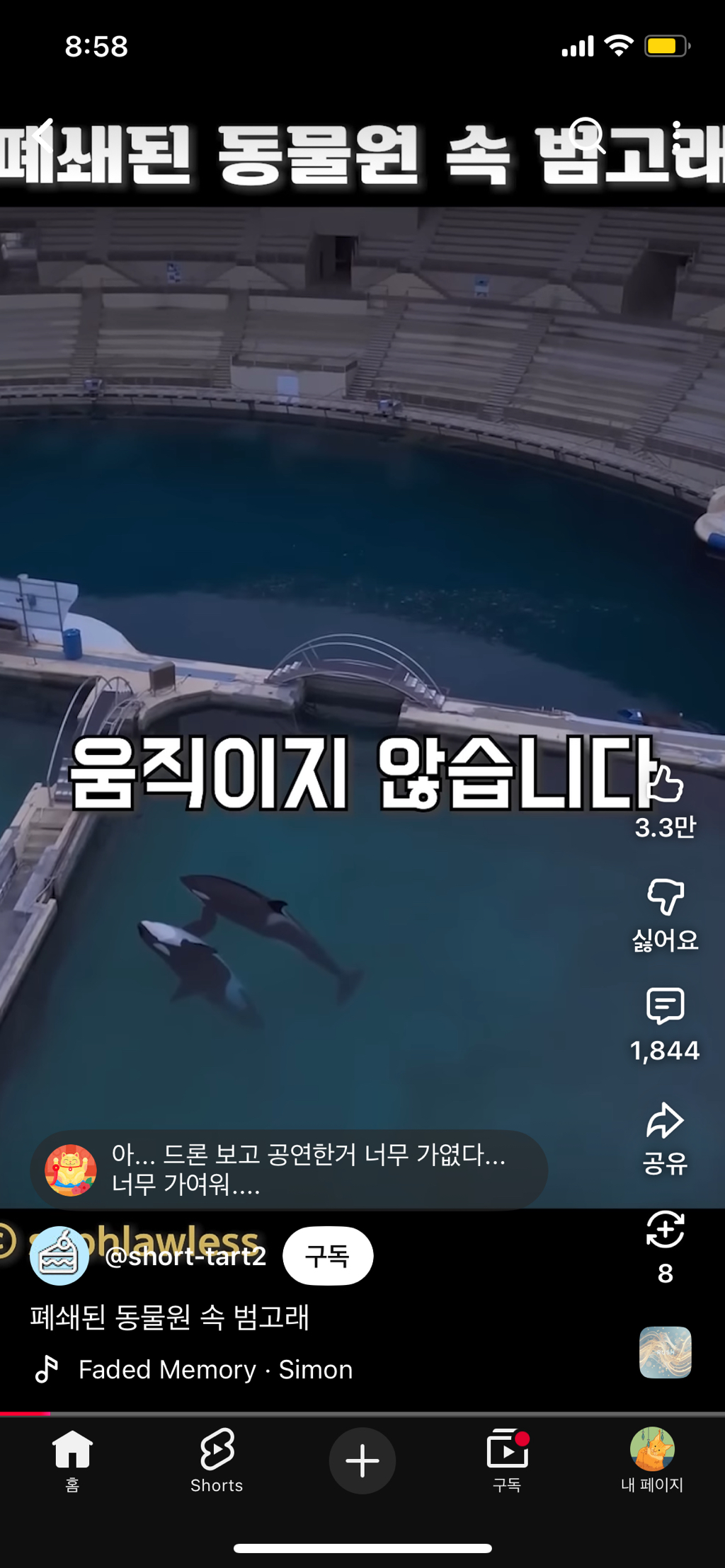 프랑스가-사진작가-고소함-3-이미지