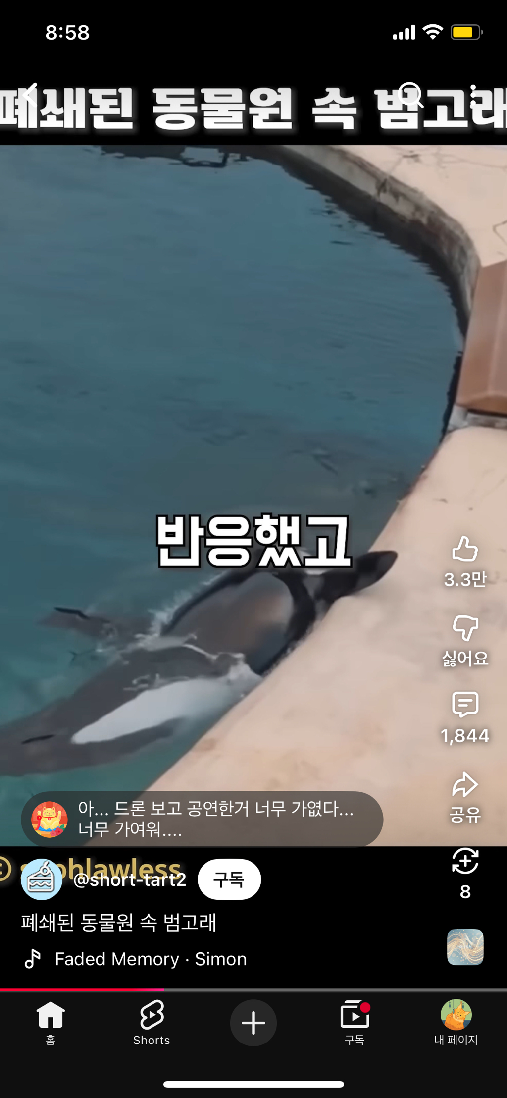 프랑스가-사진작가-고소함-15-이미지