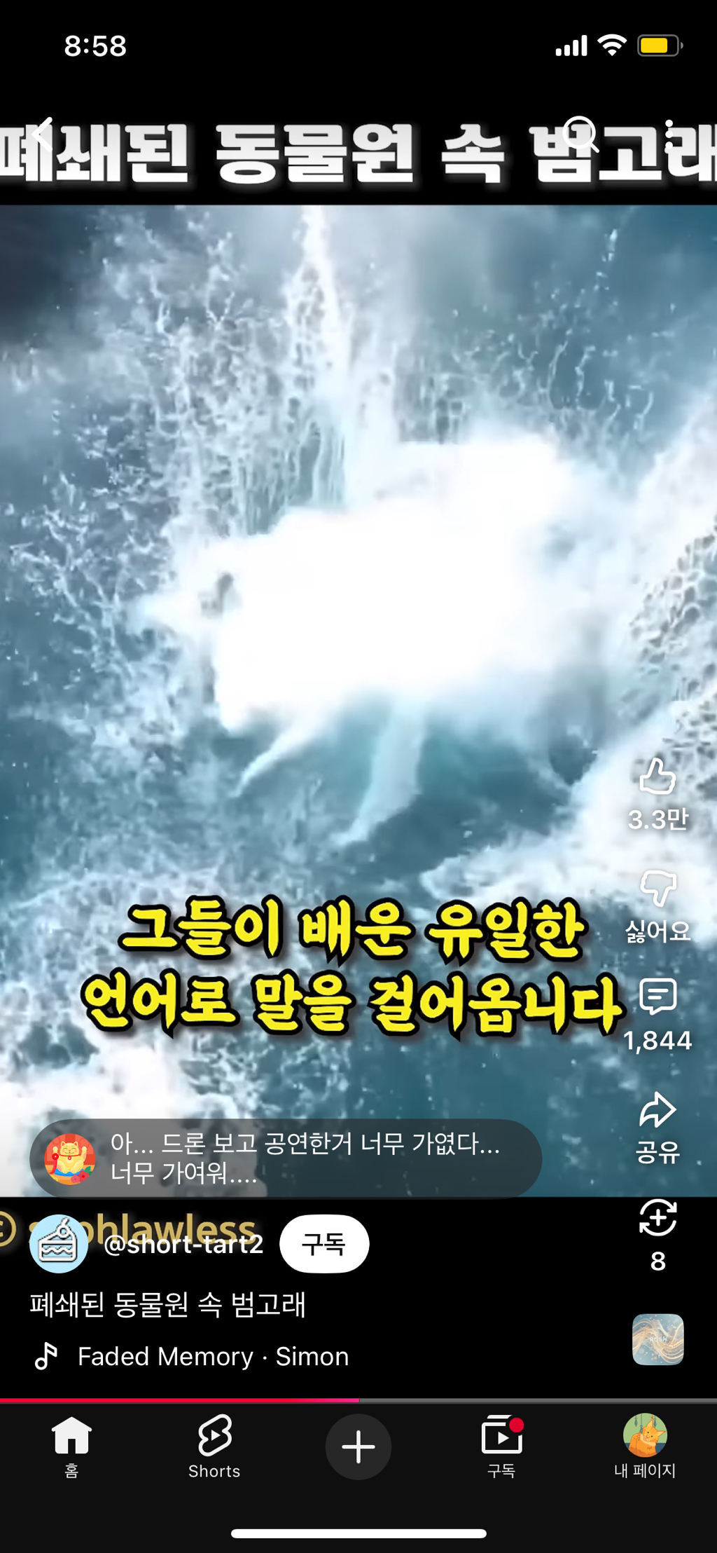 프랑스가-사진작가-고소함-23-이미지