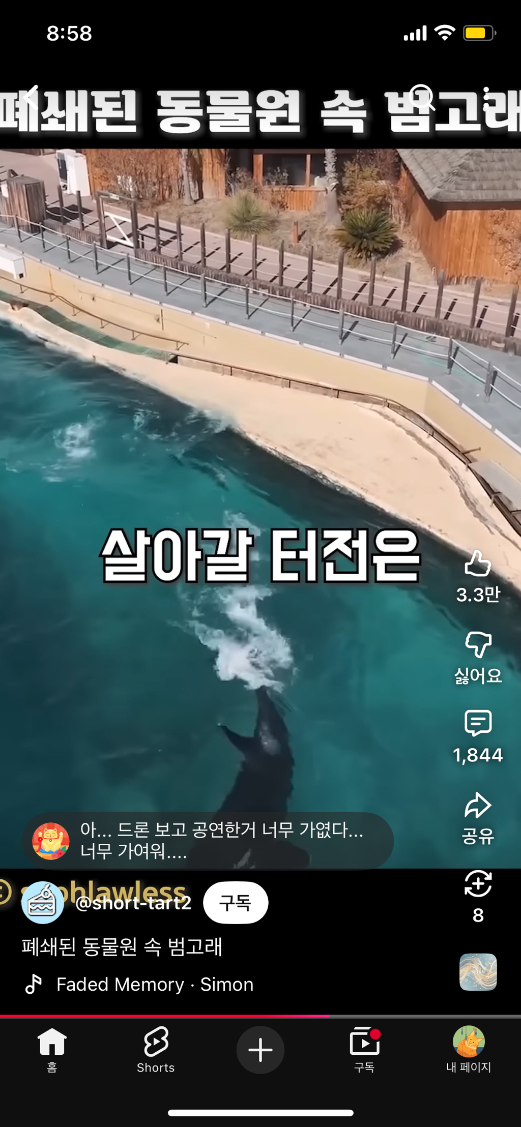 프랑스가-사진작가-고소함-31-이미지