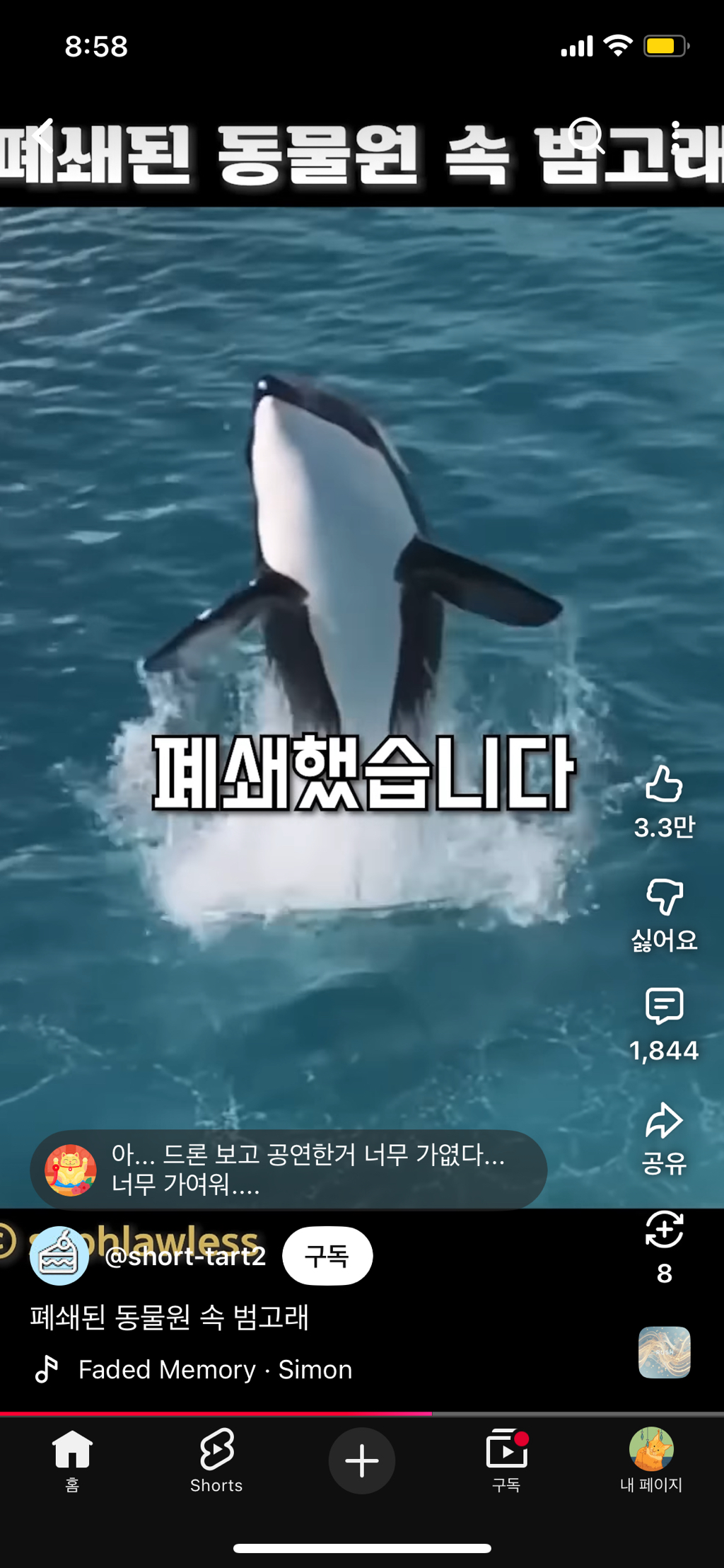 프랑스가-사진작가-고소함-29-이미지