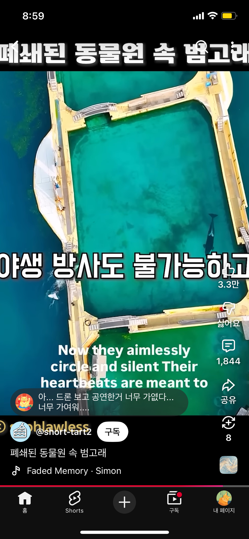 프랑스가-사진작가-고소함-48-이미지