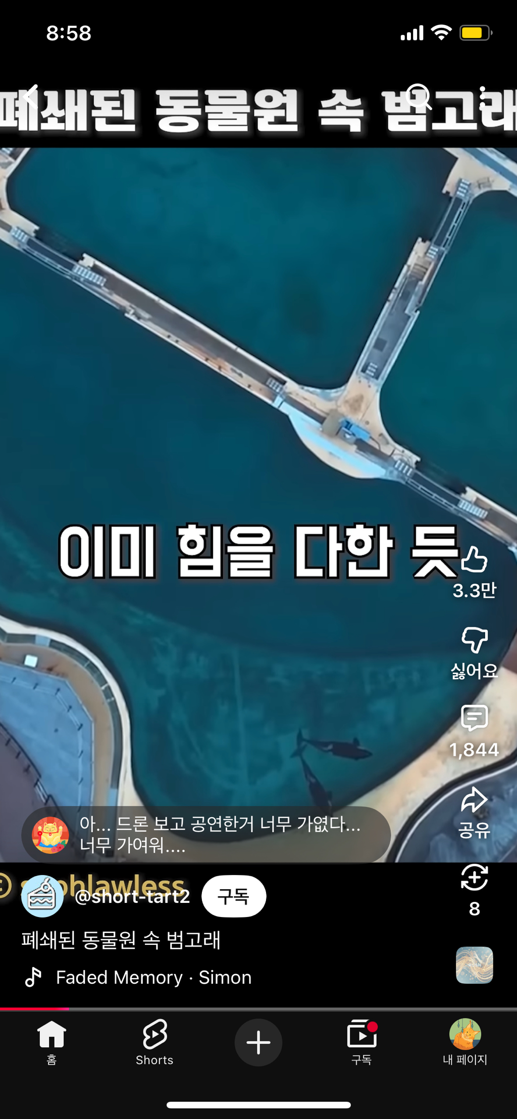 프랑스가-사진작가-고소함-5-이미지