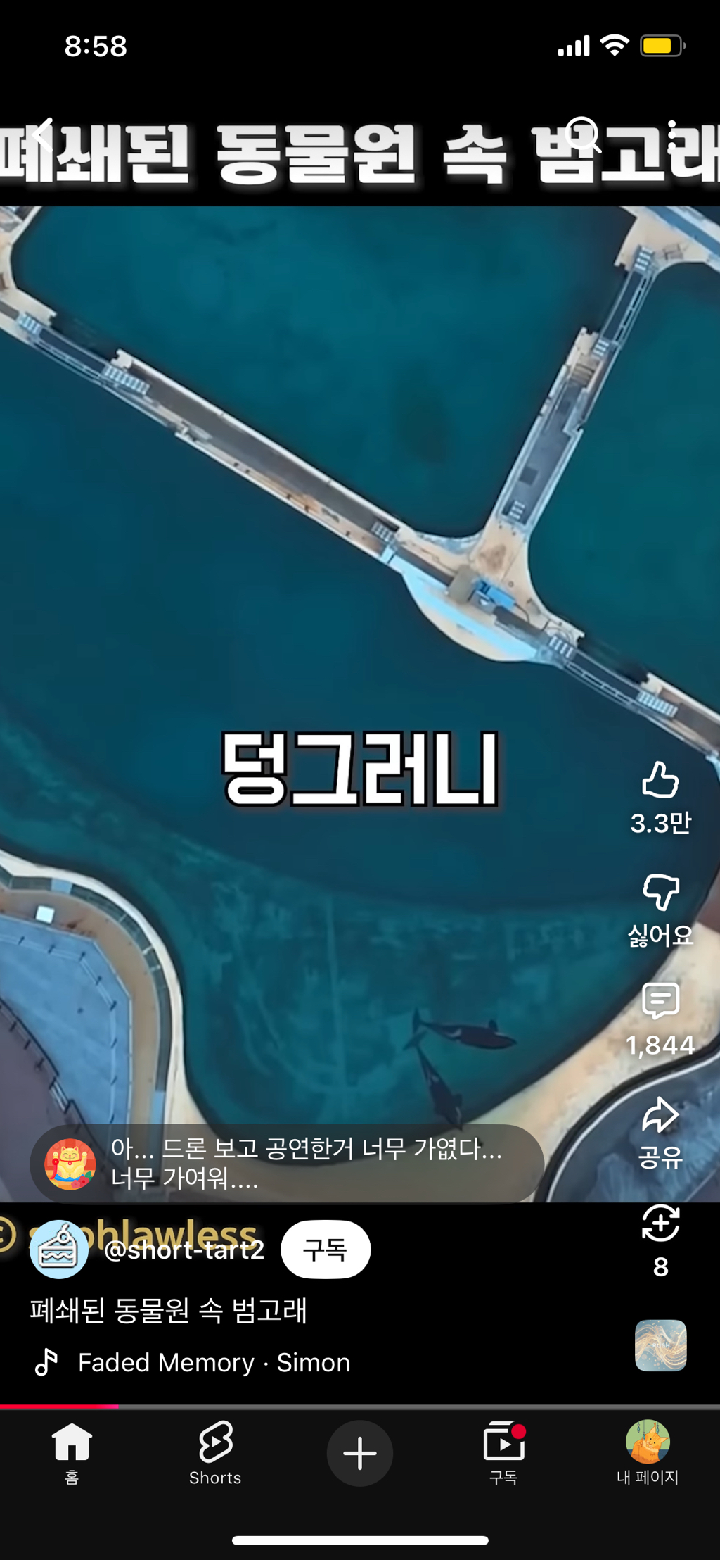 프랑스가-사진작가-고소함-7-이미지