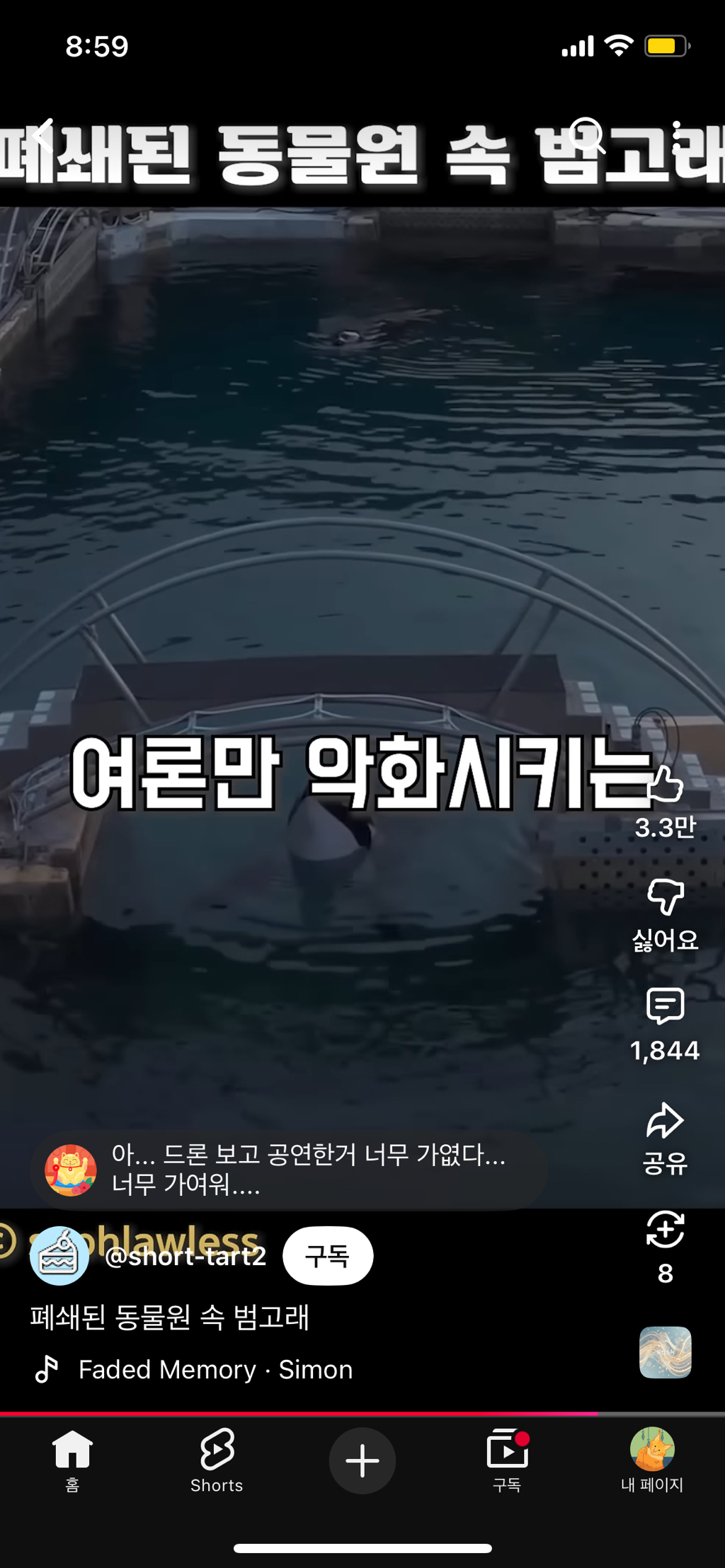 프랑스가-사진작가-고소함-44-이미지