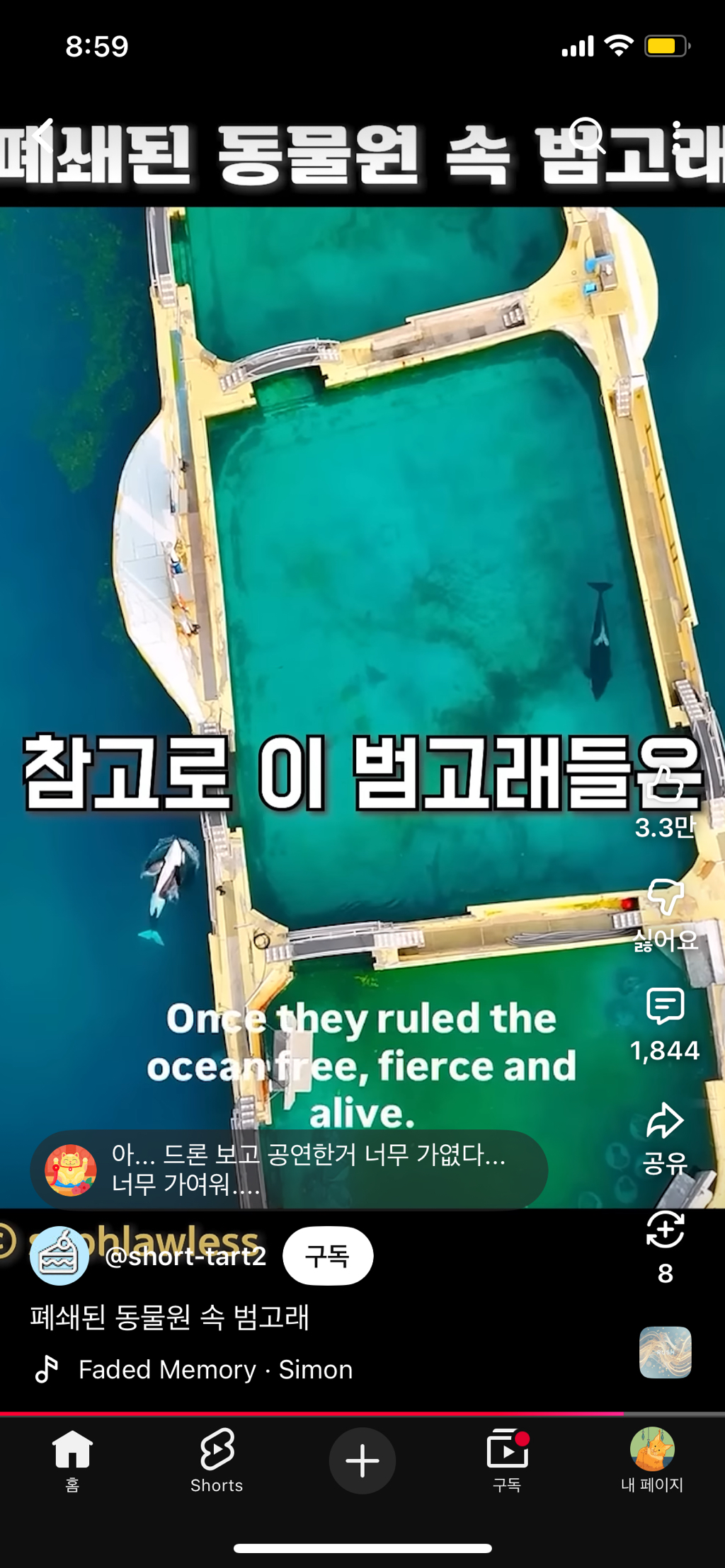 프랑스가-사진작가-고소함-46-이미지