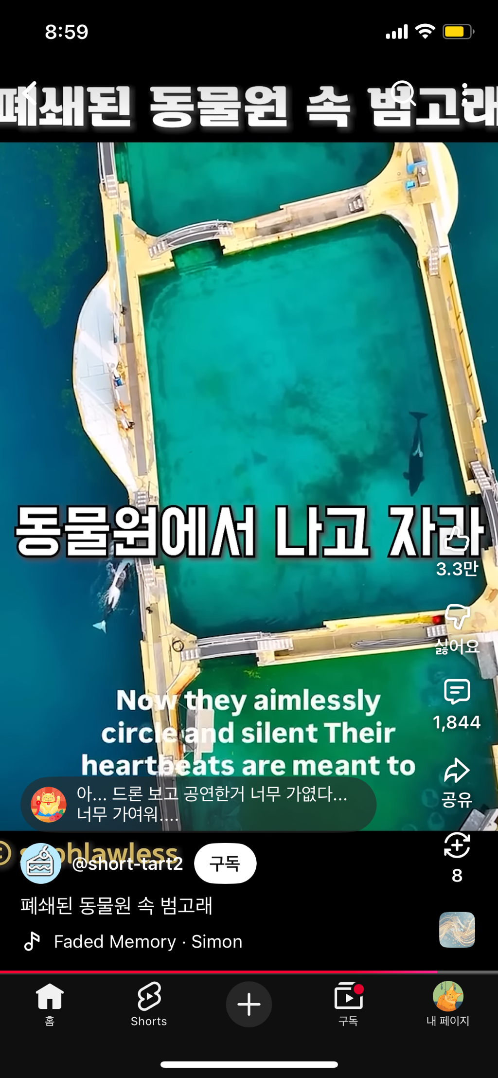 프랑스가-사진작가-고소함-47-이미지